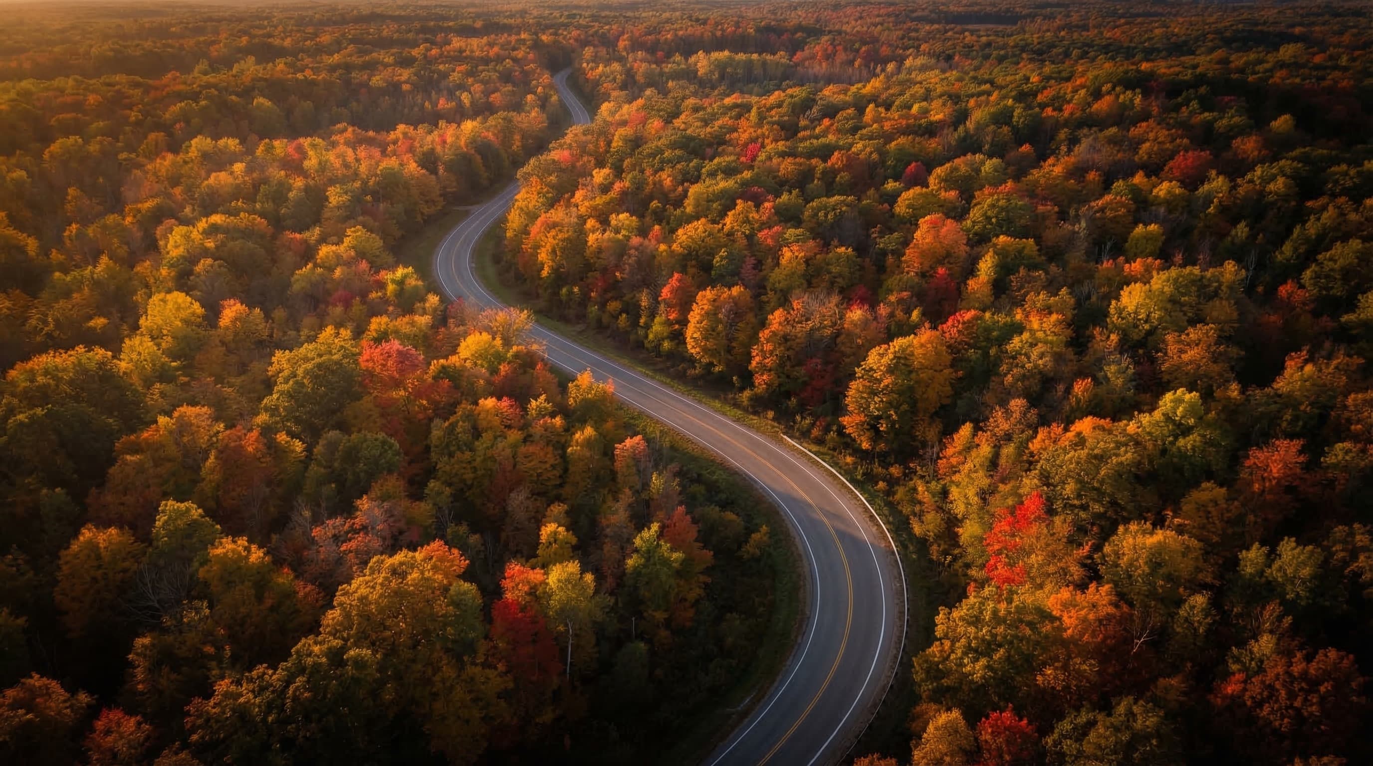 Michigan Media House Blog